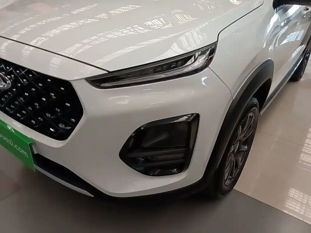 Chery Tiggo 3x 2024 — фото 24