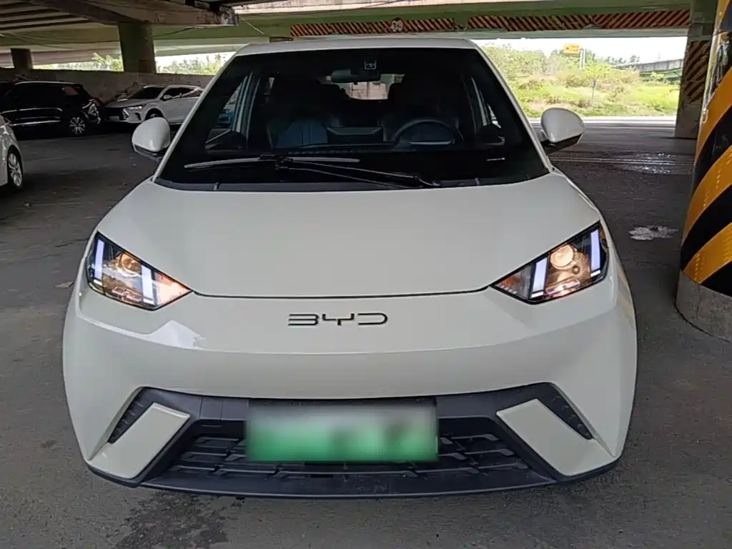BYD Seagull 2024