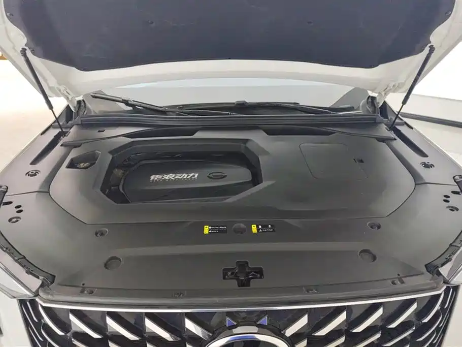 GAC Motor Trumpchi GS8 2022 — фото 10