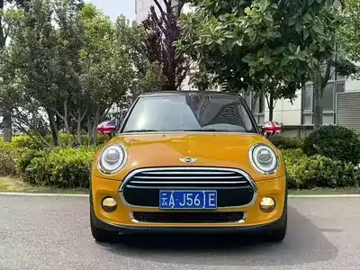 MINI MINI 2015