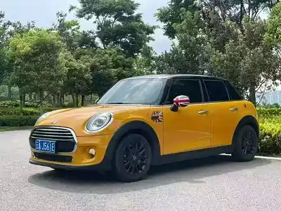 MINI MINI 2015