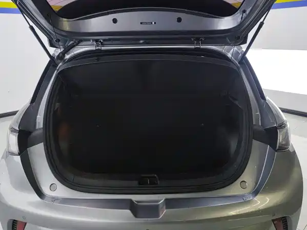 BYD Dolphin 2022