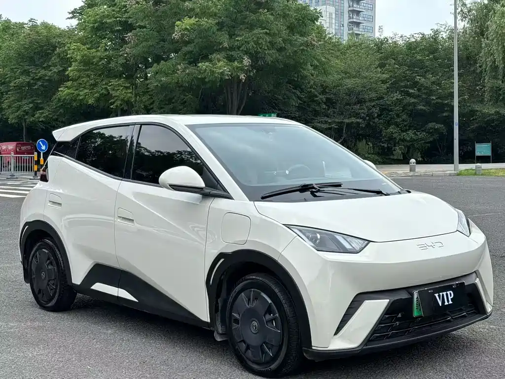 BYD Seagull 2024