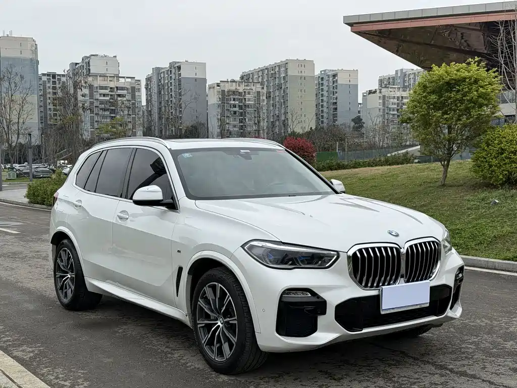 BMW X5 2019 — фото 3