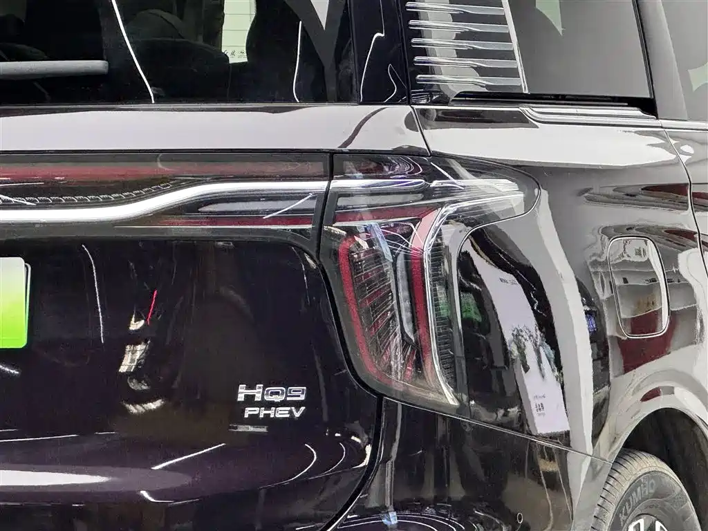 Hongqi HQ9 PHEV 2024 — фото 19