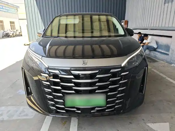 BYD Summer 2025
