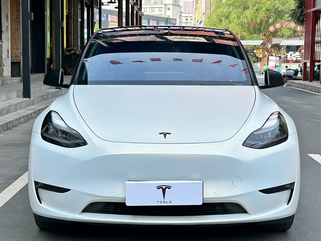 Tesla Model Y 2021 — фото 2