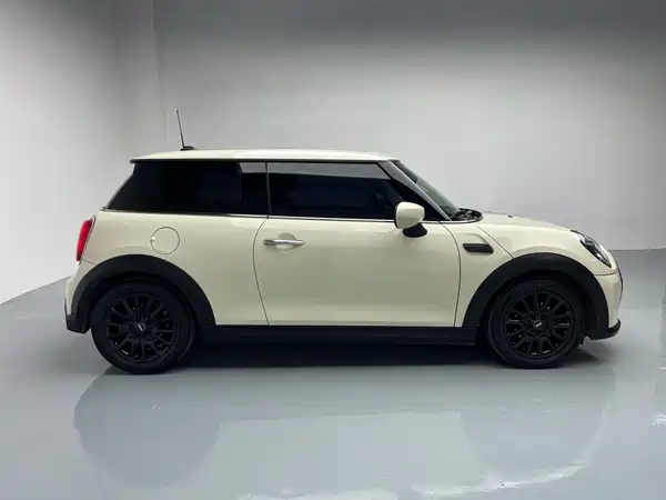 MINI MINI 2022