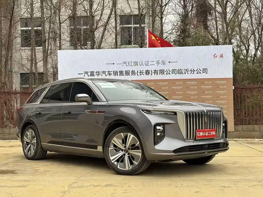 Hongqi E-HS9 2023 — фото 3