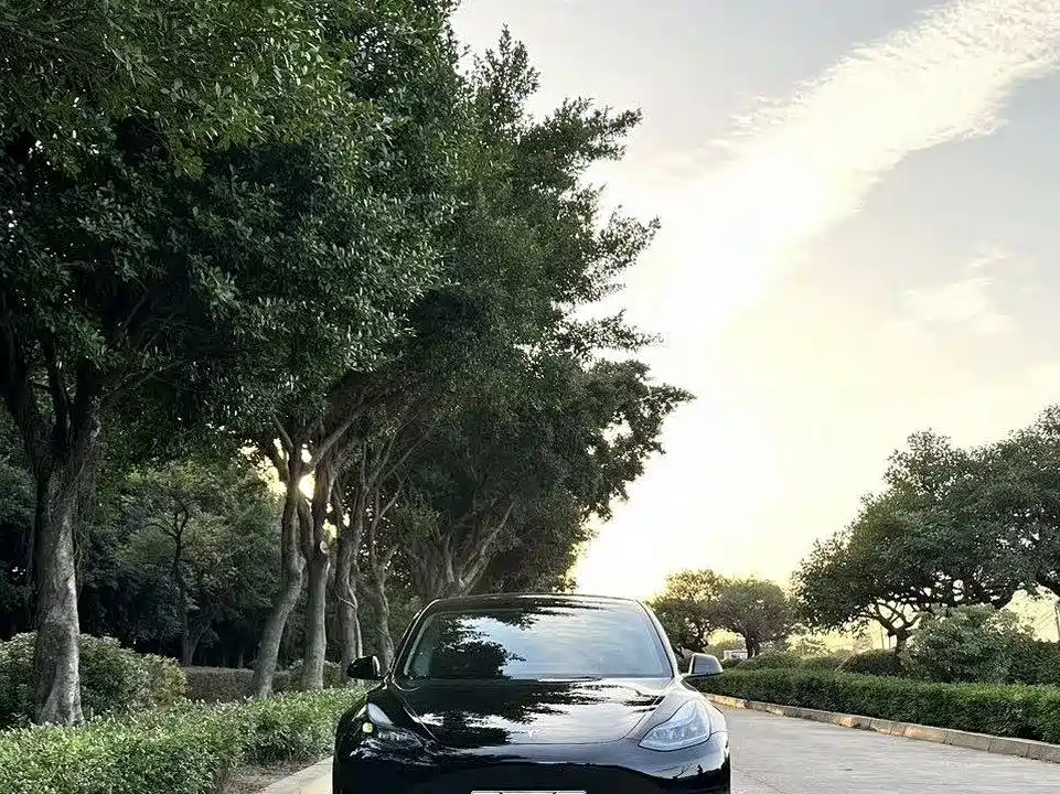 Tesla Model 3 2023 — фото 2