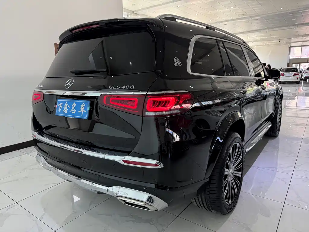 Mercedes-Benz GLS 2022 — фото 19