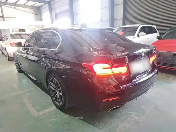 BMW 5 Series New Energy 2022