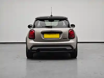 MINI MINI 2022
