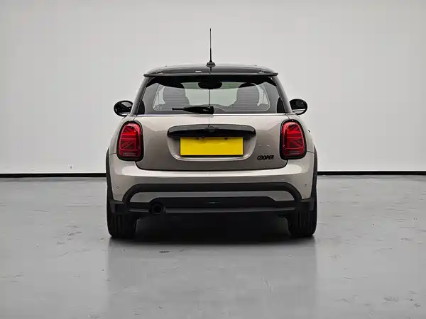 MINI 2022