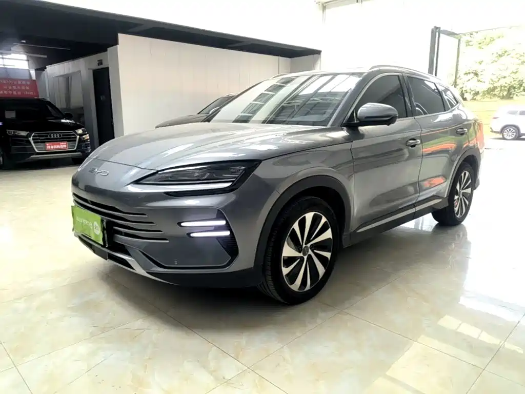 BYD Song PLUS New Energy 2024 — фото 2