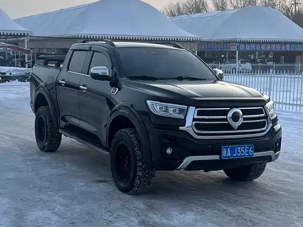 Great Wall Poer 2024