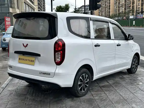 Wuling Hongguang New Energy 2024