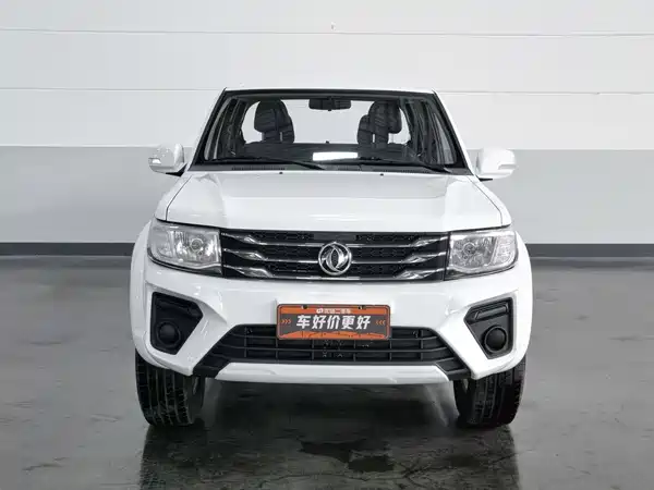 Dongfeng Ruiqi 2022