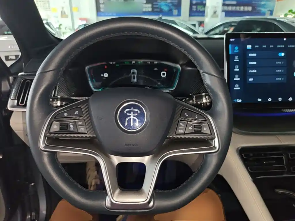 BYD Song PLUS New Energy 2022 — фото 11