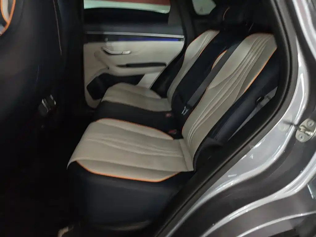 BYD Song PLUS New Energy 2022 — фото 17