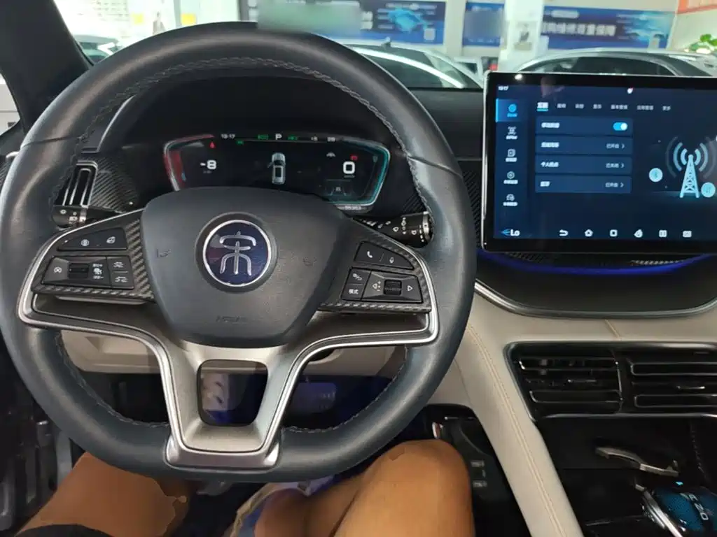 BYD Song PLUS New Energy 2022 — фото 10