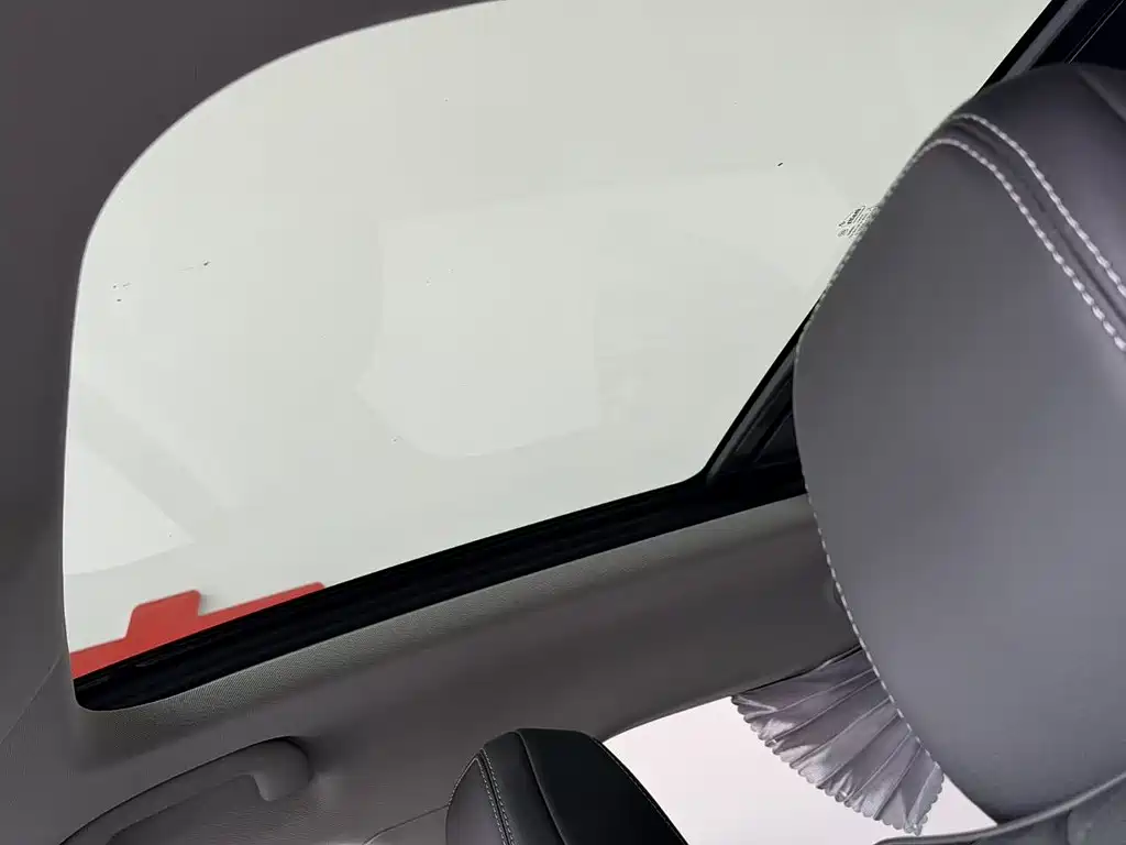 BYD Pro New Energy 2020 — фото 13
