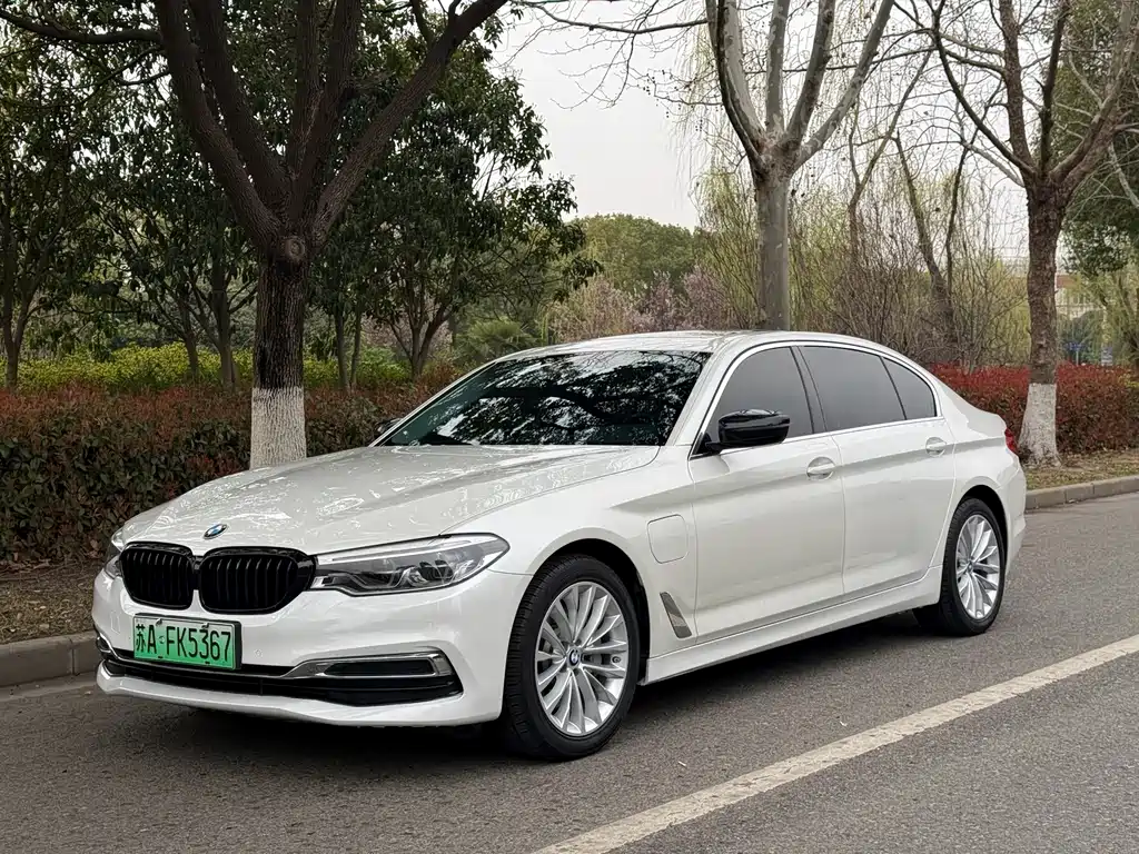 BMW 5 Series New Energy 2019