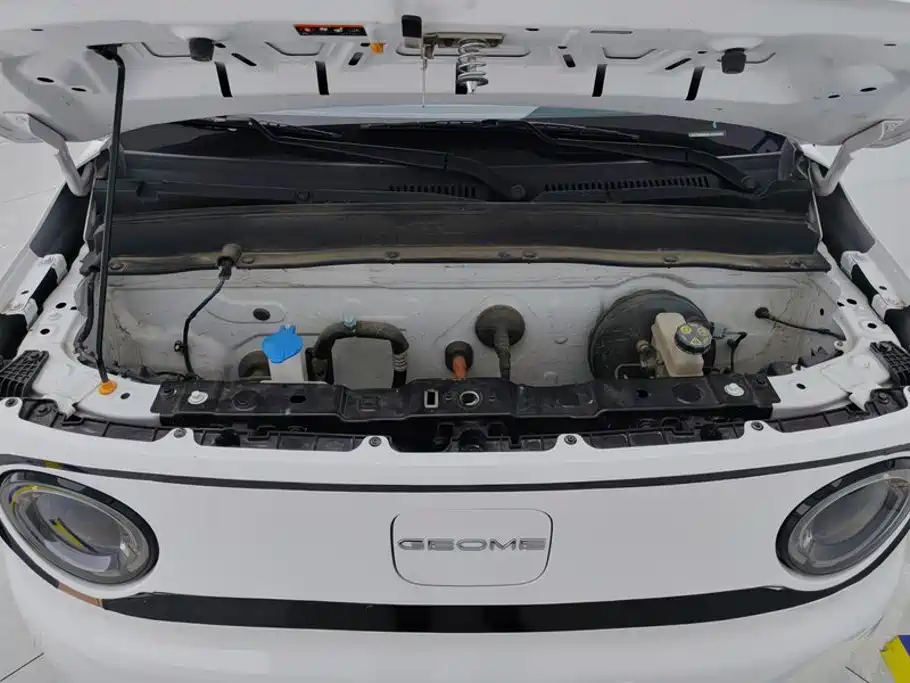 Geely Galaxy Panda 2025 — фото 10
