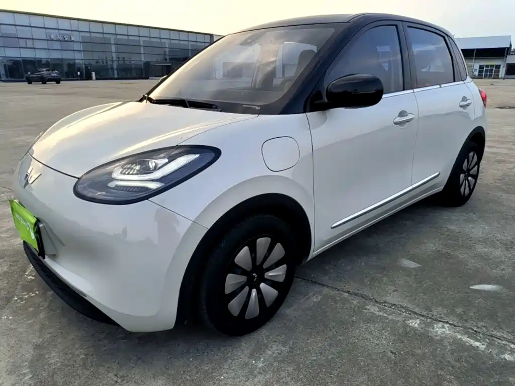 Wuling Bingo 2024