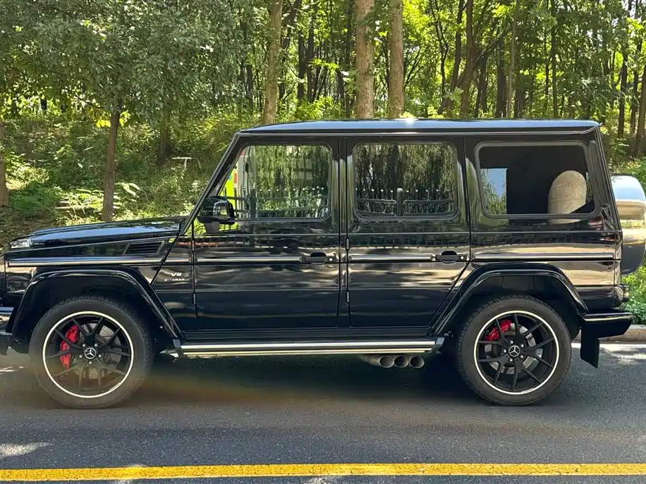 Mercedes-Benz G-Class 2018 — фото 17