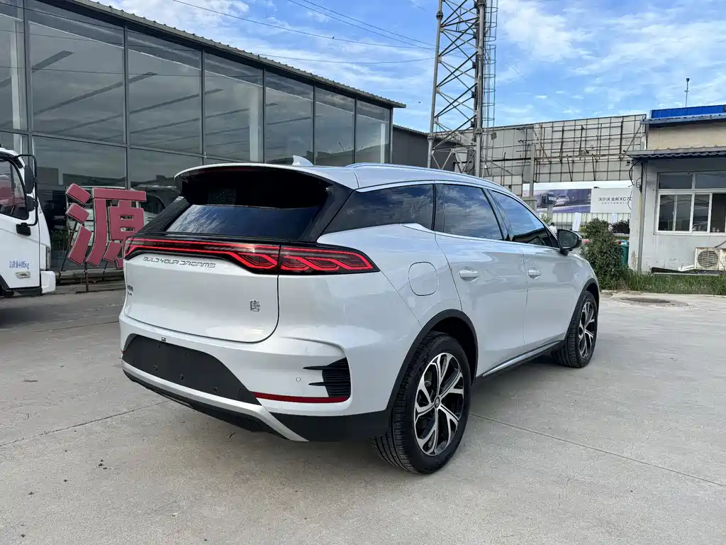 BYD Tang New Energy 2024 — фото 12