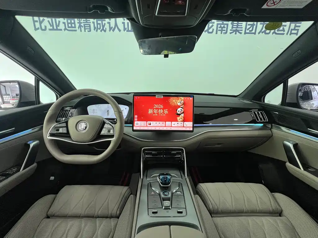 BYD Tang New Energy 2025 — фото 23