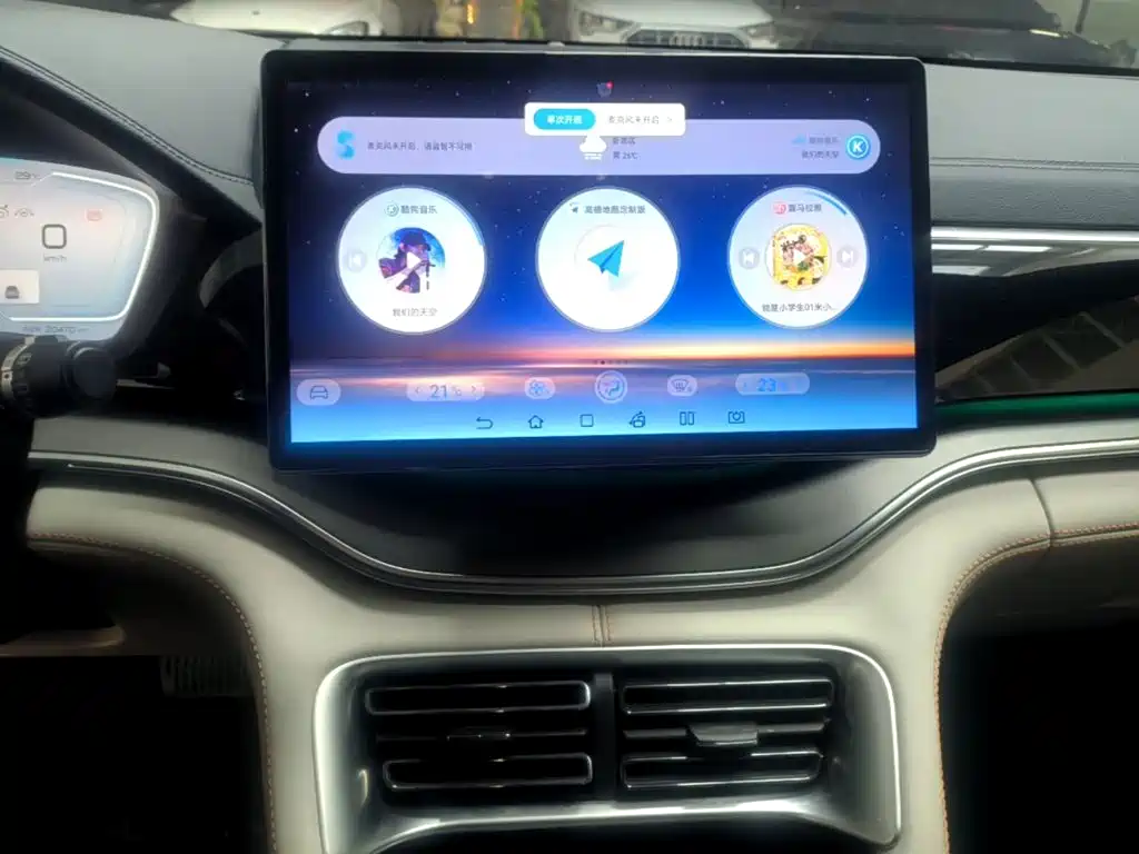 BYD Song PLUS New Energy 2024 — фото 13