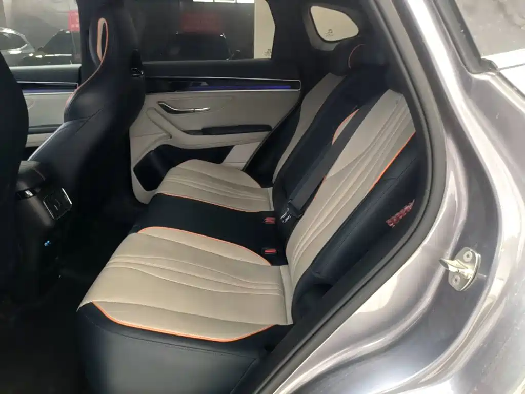 BYD Song PLUS New Energy 2024 — фото 17