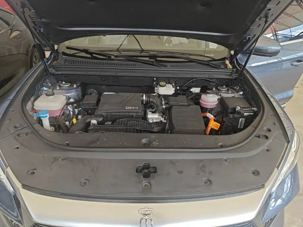 BYD Song Pro New Energy 2023 — фото 20