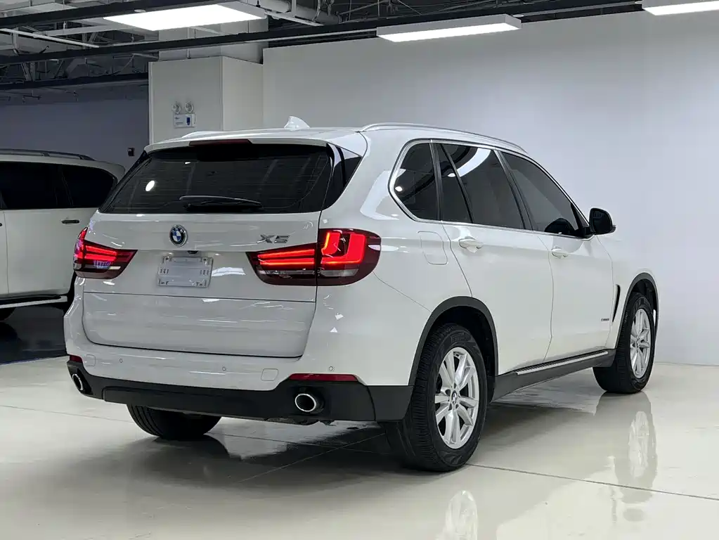 BMW X5 2017 — фото 6