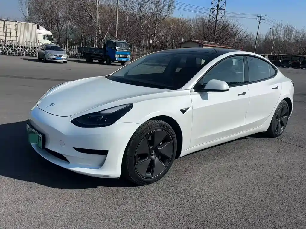 Tesla Model 3 2021 — фото 1