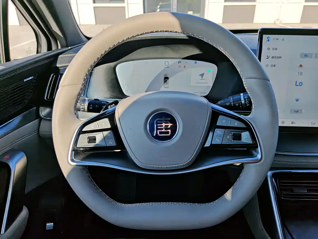 BYD Tang New Energy 2025