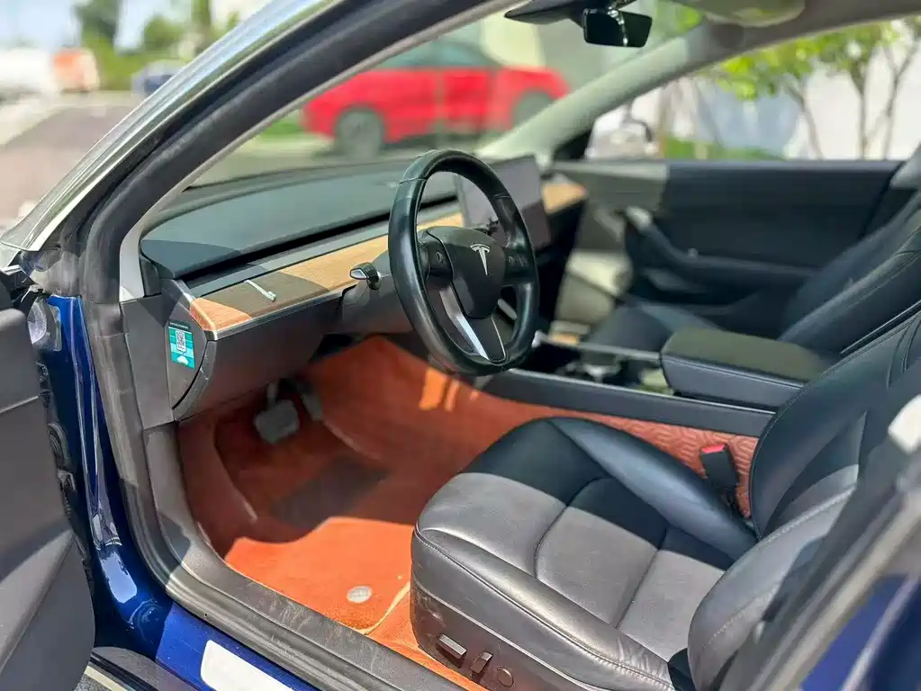 Tesla Model 3 2019
