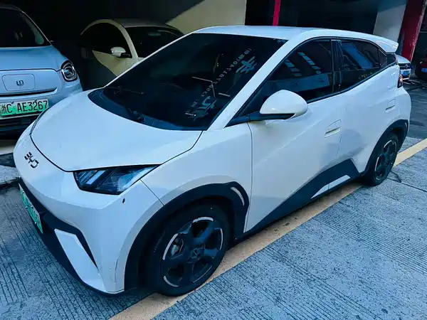 BYD Seagull 2024