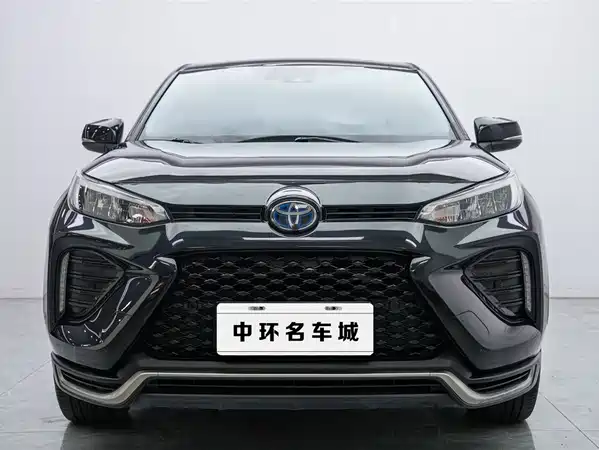 Toyota Weilanda New Energy 2021