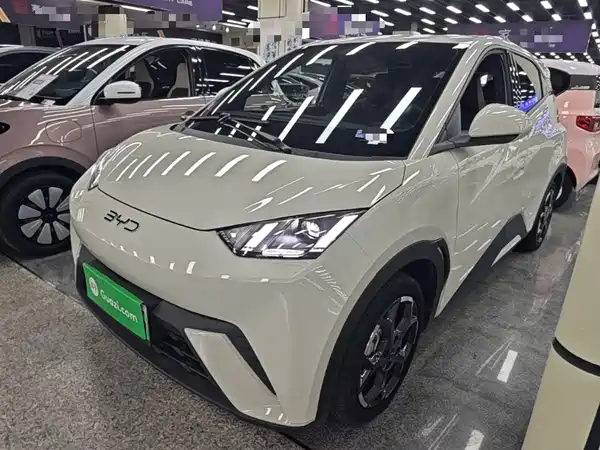 BYD Seagull 2024