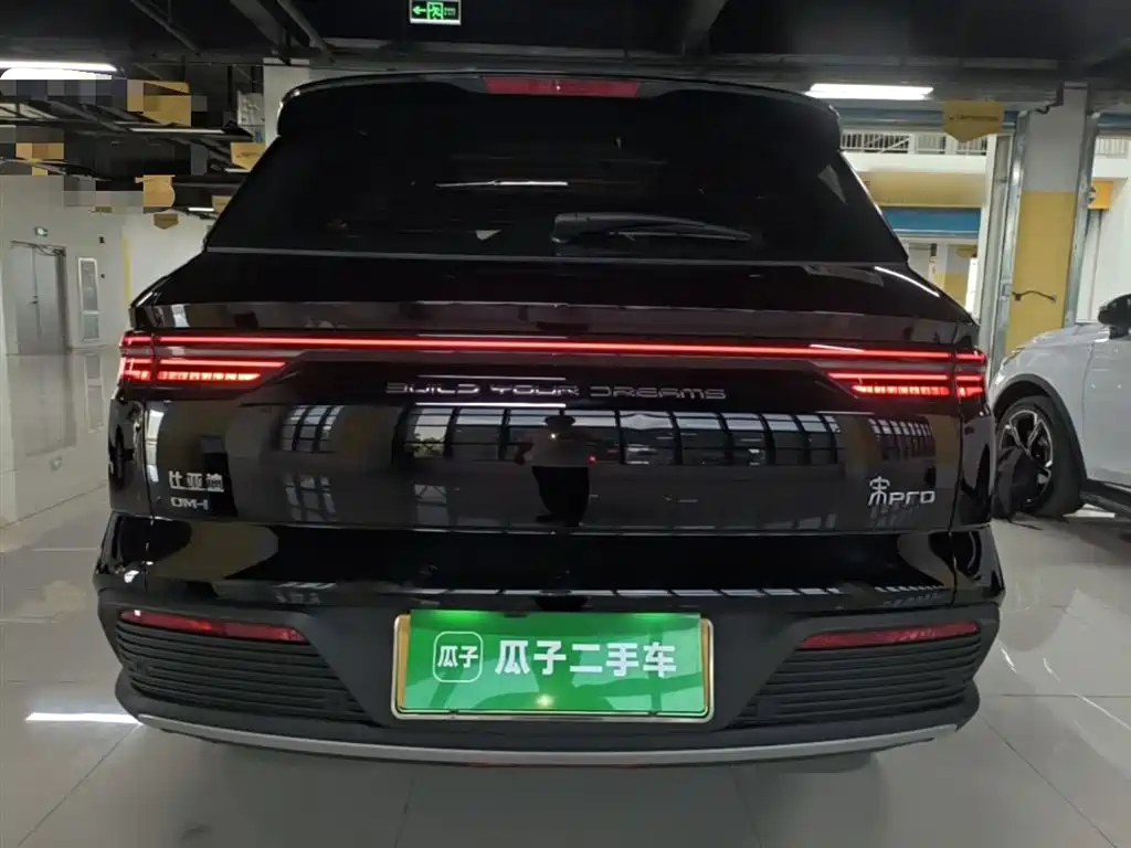 BYD Pro New Energy 2024 — фото 6