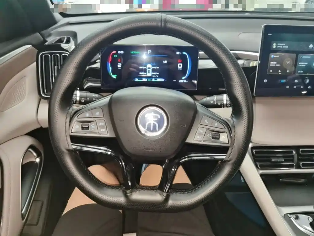 BYD Song Pro New Energy 2024 — фото 11