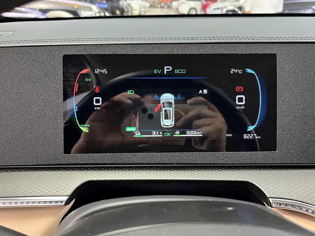 BYD Song Pro New Energy 2024 — фото 10