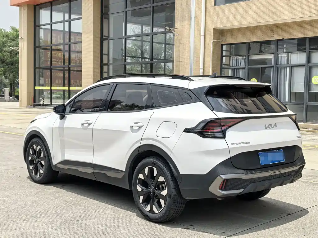 Kia Lion Platinum Expands The Boundary 2023 — фото 6