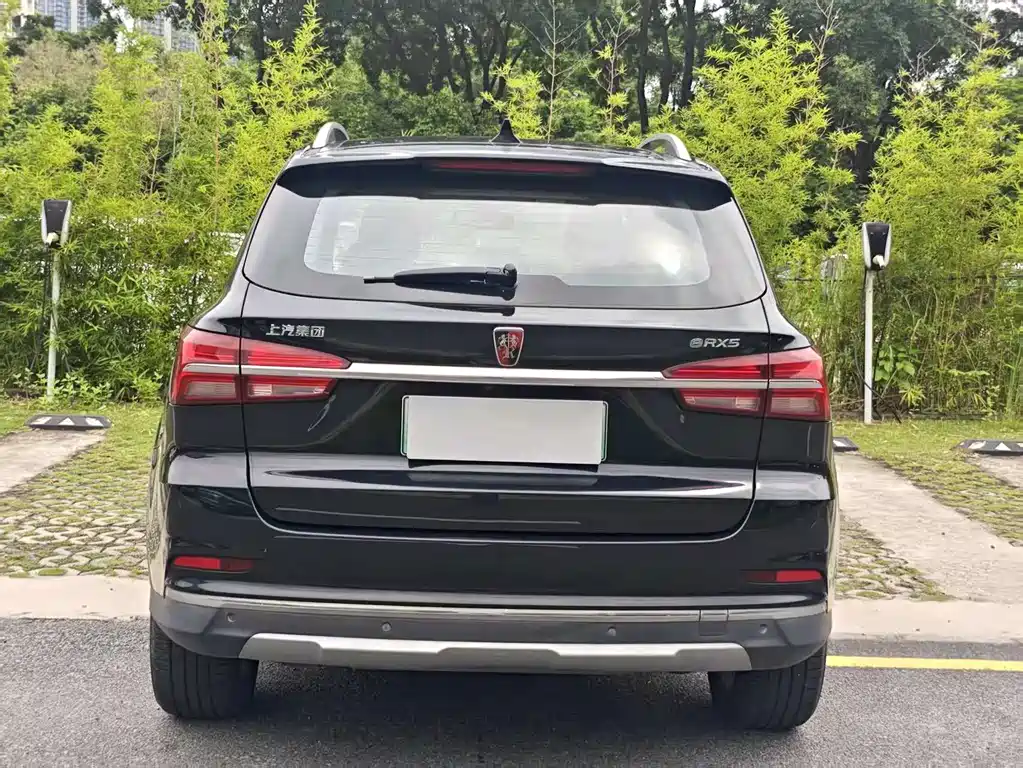 Roewe RX5 New Energy 2019 — фото 8