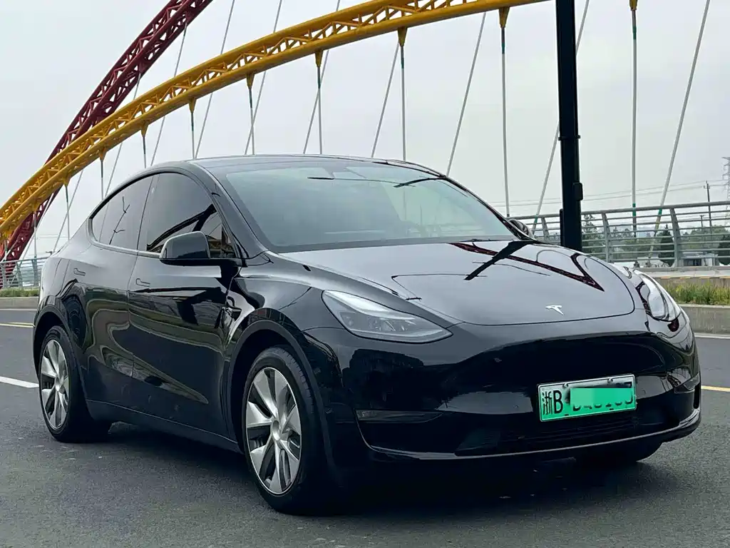 Tesla Model Y 2021 — фото 3