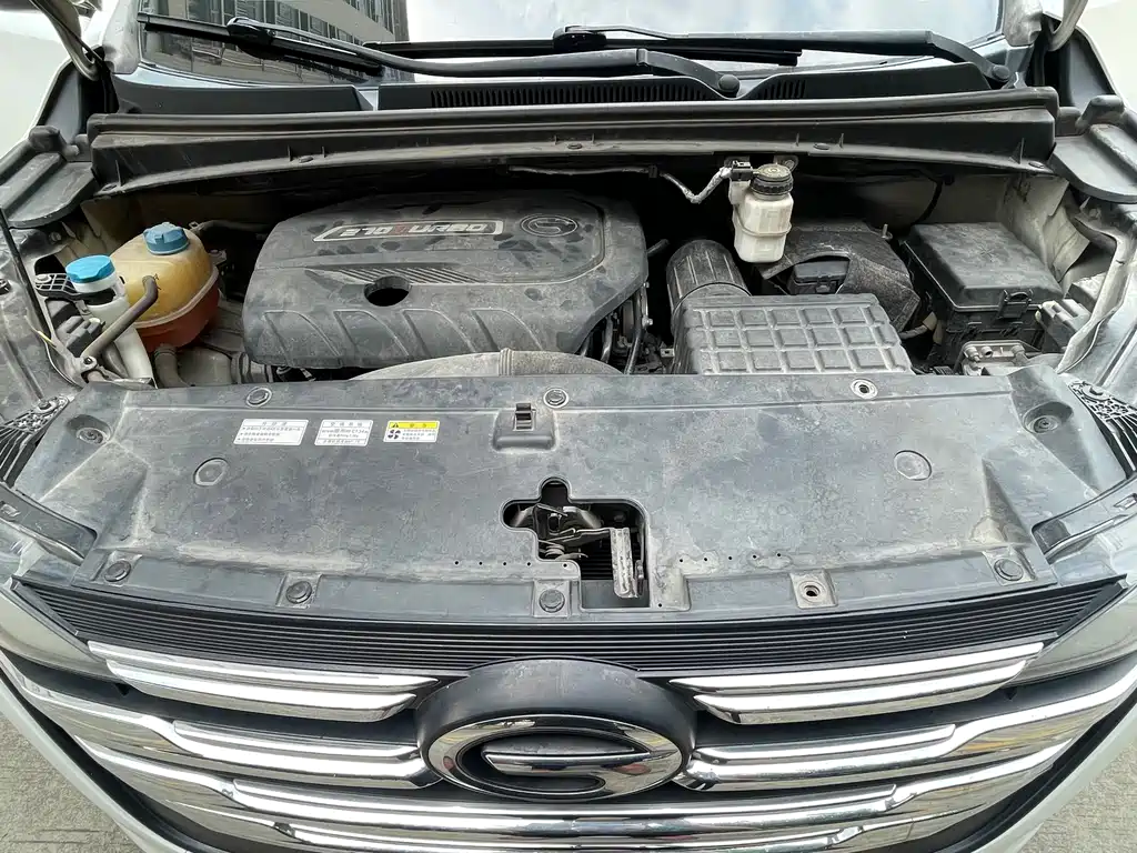 GAC Motor Trumpchi M6 2021 — фото 17