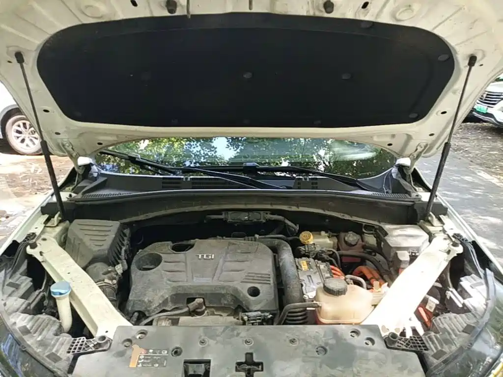 Roewe RX5 New Energy 2021 — фото 20